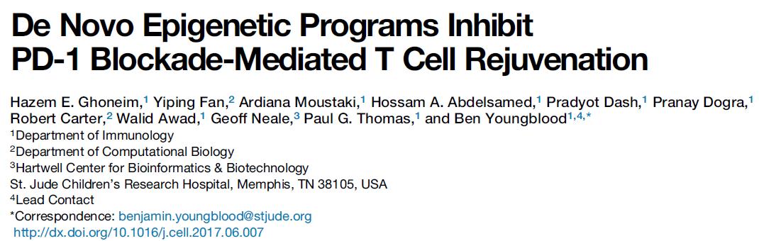 esball(中国区)官方网站