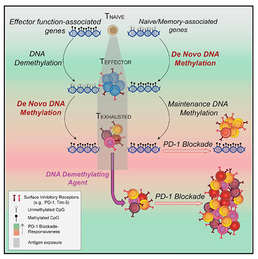 esball(中国区)官方网站