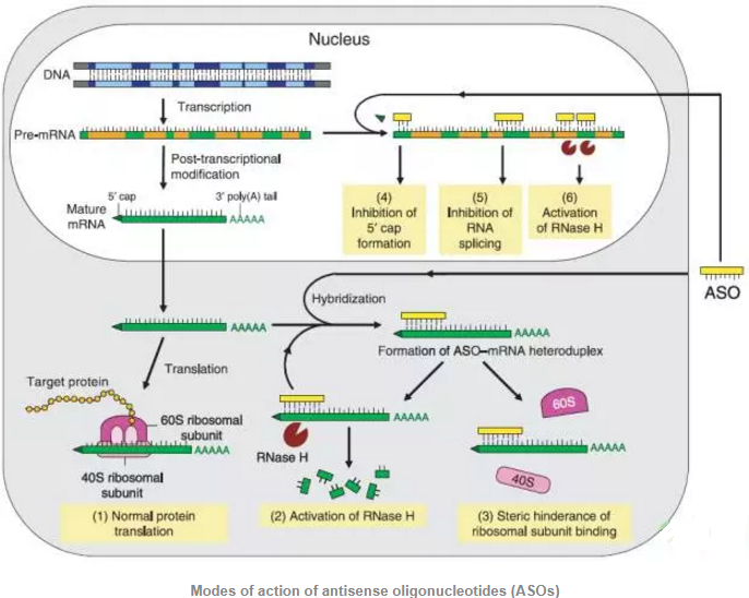 esball(中国区)官方网站