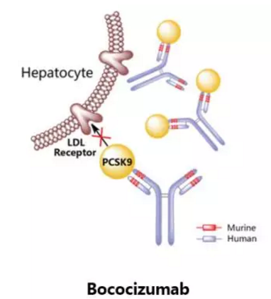 esball(中国区)官方网站