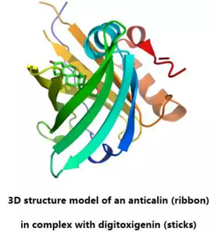 esball(中国区)官方网站