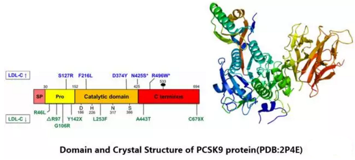 esball(中国区)官方网站