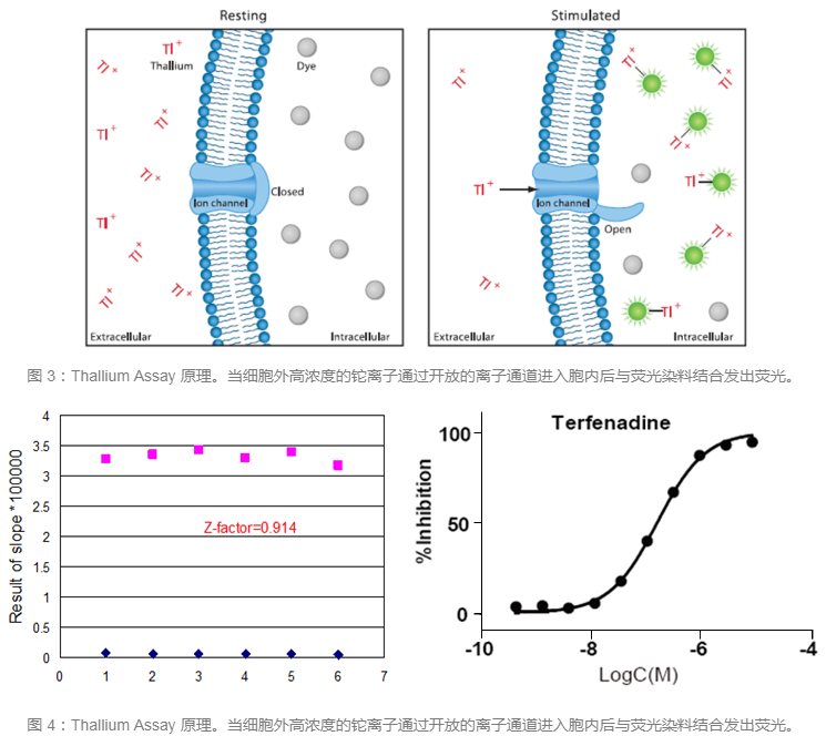 esball(中国区)官方网站