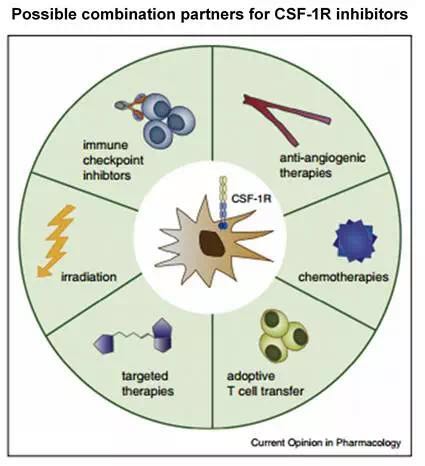esball(中国区)官方网站