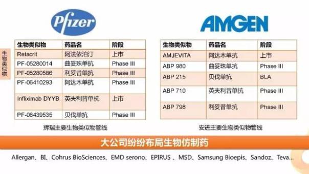 esball(中国区)官方网站