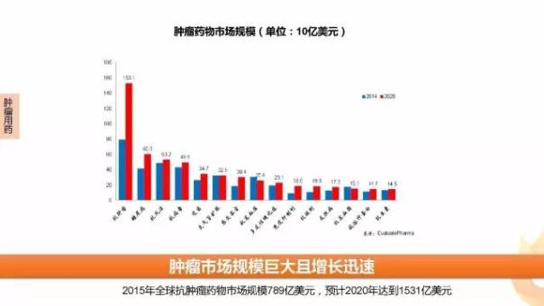 esball(中国区)官方网站