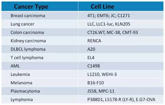 esball(中国区)官方网站