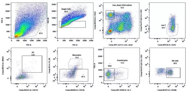 esball(中国区)官方网站