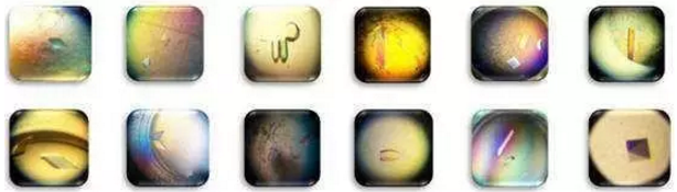 esball(中国区)官方网站