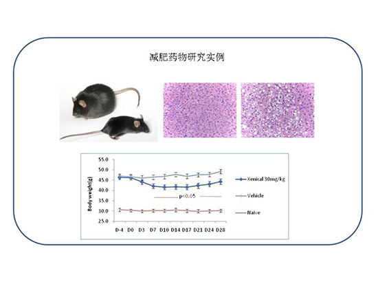 esball(中国区)官方网站