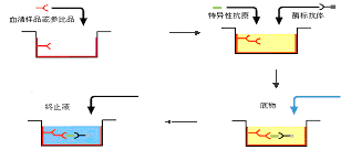 esball(中国区)官方网站