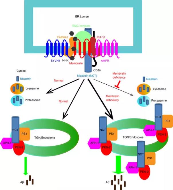 esball(中国区)官方网站