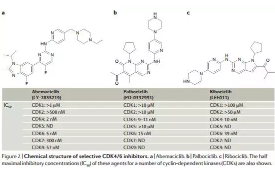 esball(中国区)官方网站