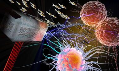 esball(中国区)官方网站