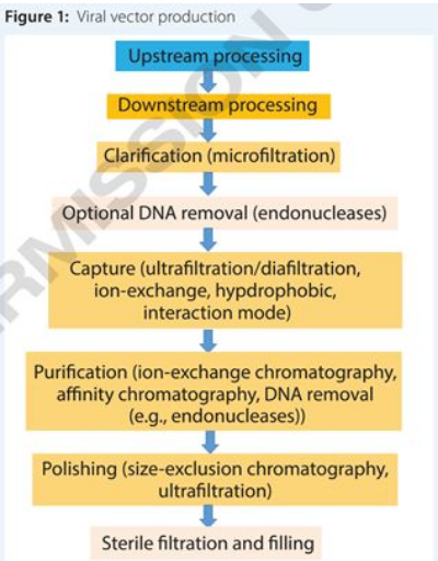 esball(中国区)官方网站