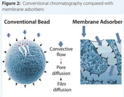 esball(中国区)官方网站