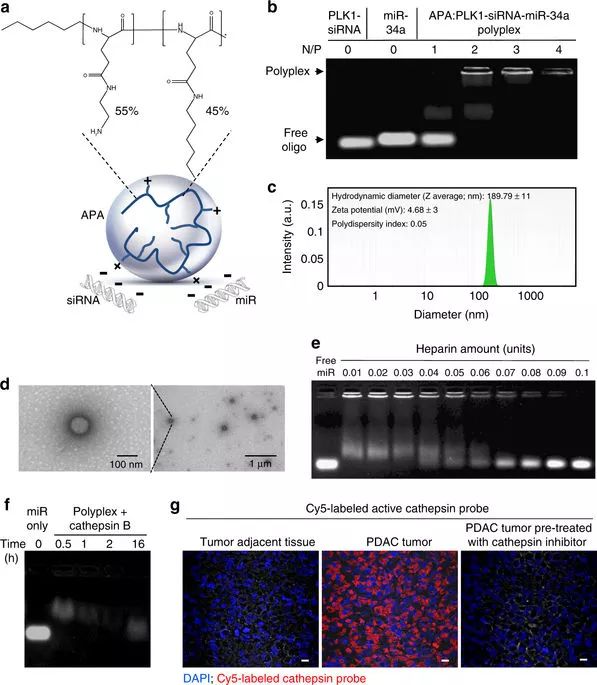 esball(中国区)官方网站
