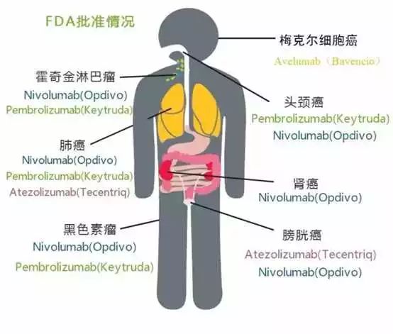 esball(中国区)官方网站