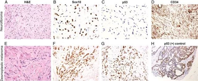 esball(中国区)官方网站