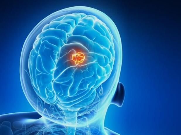 esball(中国区)官方网站