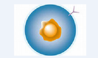 esball(中国区)官方网站