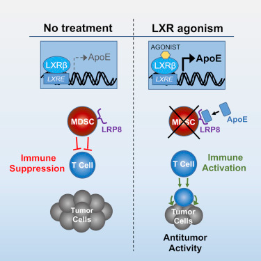 esball(中国区)官方网站