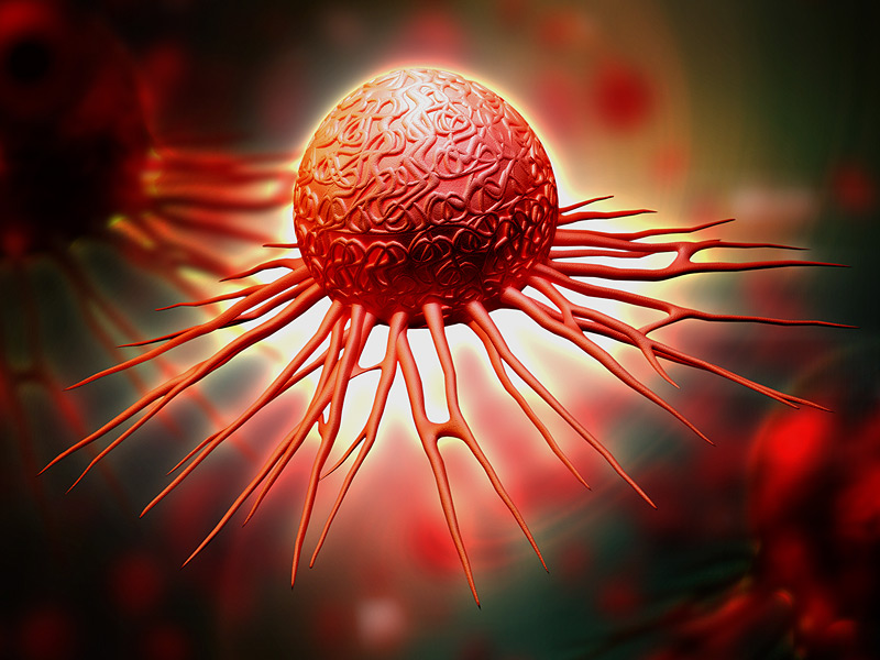 esball(中国区)官方网站