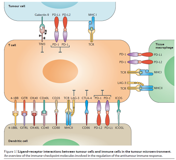 esball(中国区)官方网站