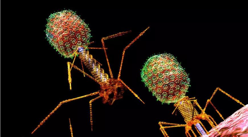 esball(中国区)官方网站