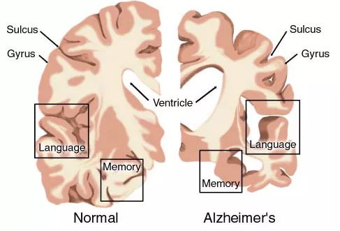 esball(中国区)官方网站