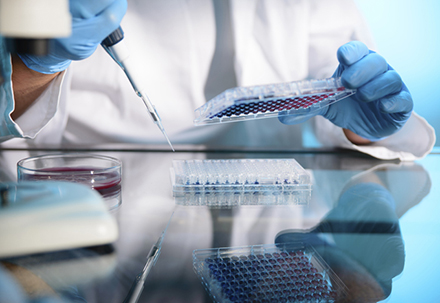 289目录国内特有种类一致性评价抱团才有戏？