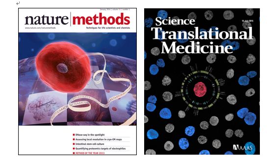 esball(中国区)官方网站