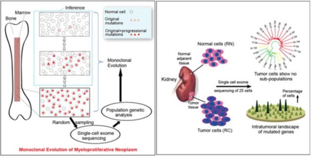 esball(中国区)官方网站