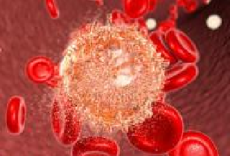 esball(中国区)官方网站