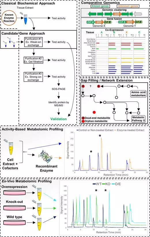 esball(中国区)官方网站