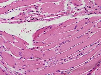 esball(中国区)官方网站