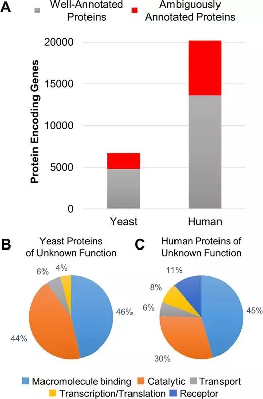 esball(中国区)官方网站