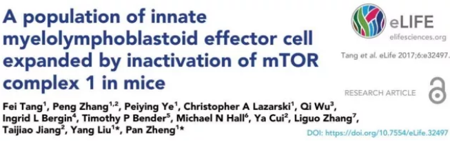 esball(中国区)官方网站