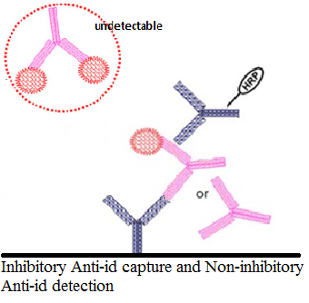 esball(中国区)官方网站