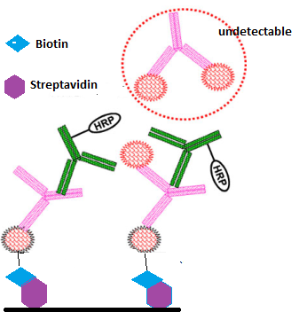 esball(中国区)官方网站
