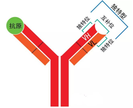 esball(中国区)官方网站