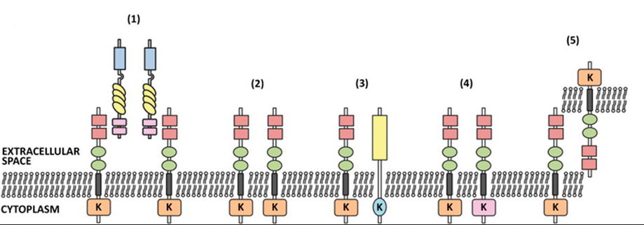 esball(中国区)官方网站