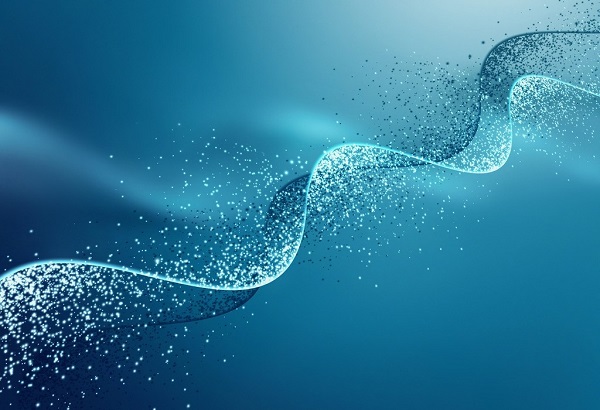 esball(中国区)官方网站