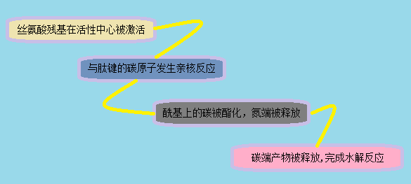 esball(中国区)官方网站