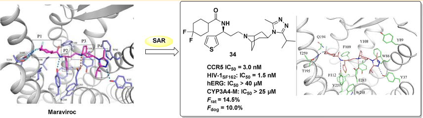 esball(中国区)官方网站