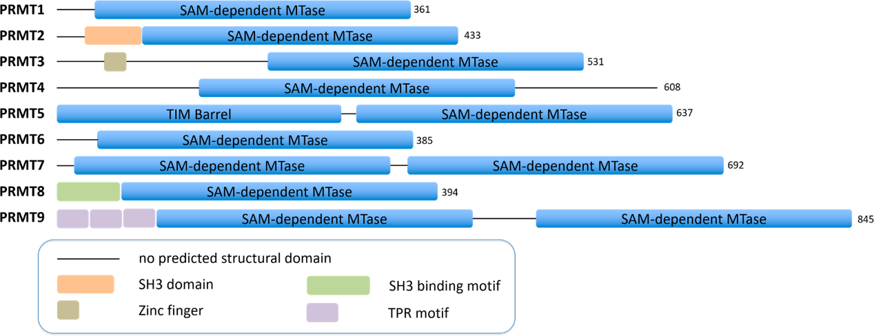 esball(中国区)官方网站