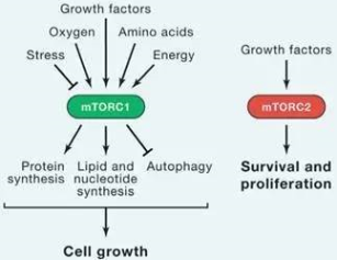 esball(中国区)官方网站
