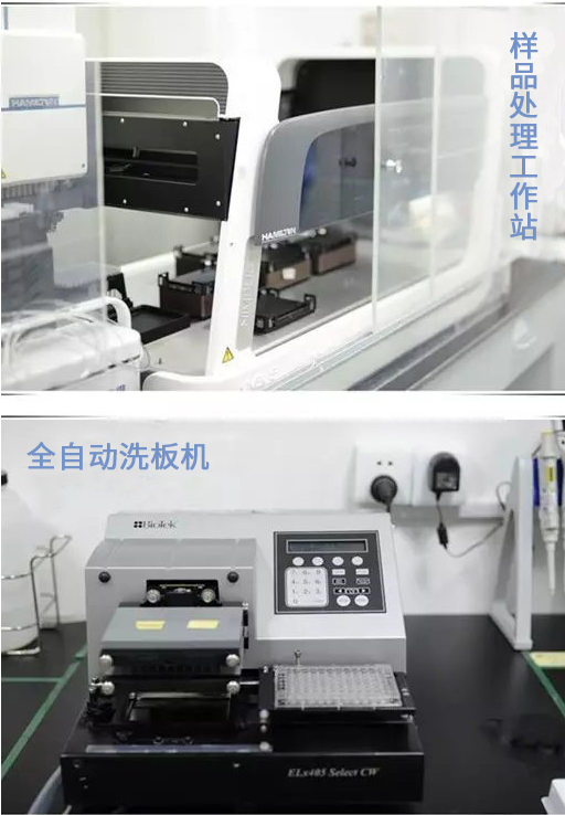 esball(中国区)官方网站