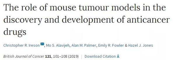 临床前幼鼠模型若何？
