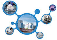 科创板首家CRO企业esball获准注册